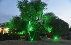 Kiparsko slikarska kolonija 2022